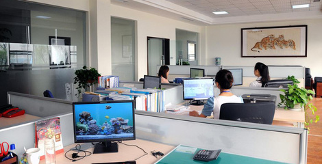 領(lǐng)軍科技未來 計算機軟硬件技術(shù)開發(fā)公司簡介